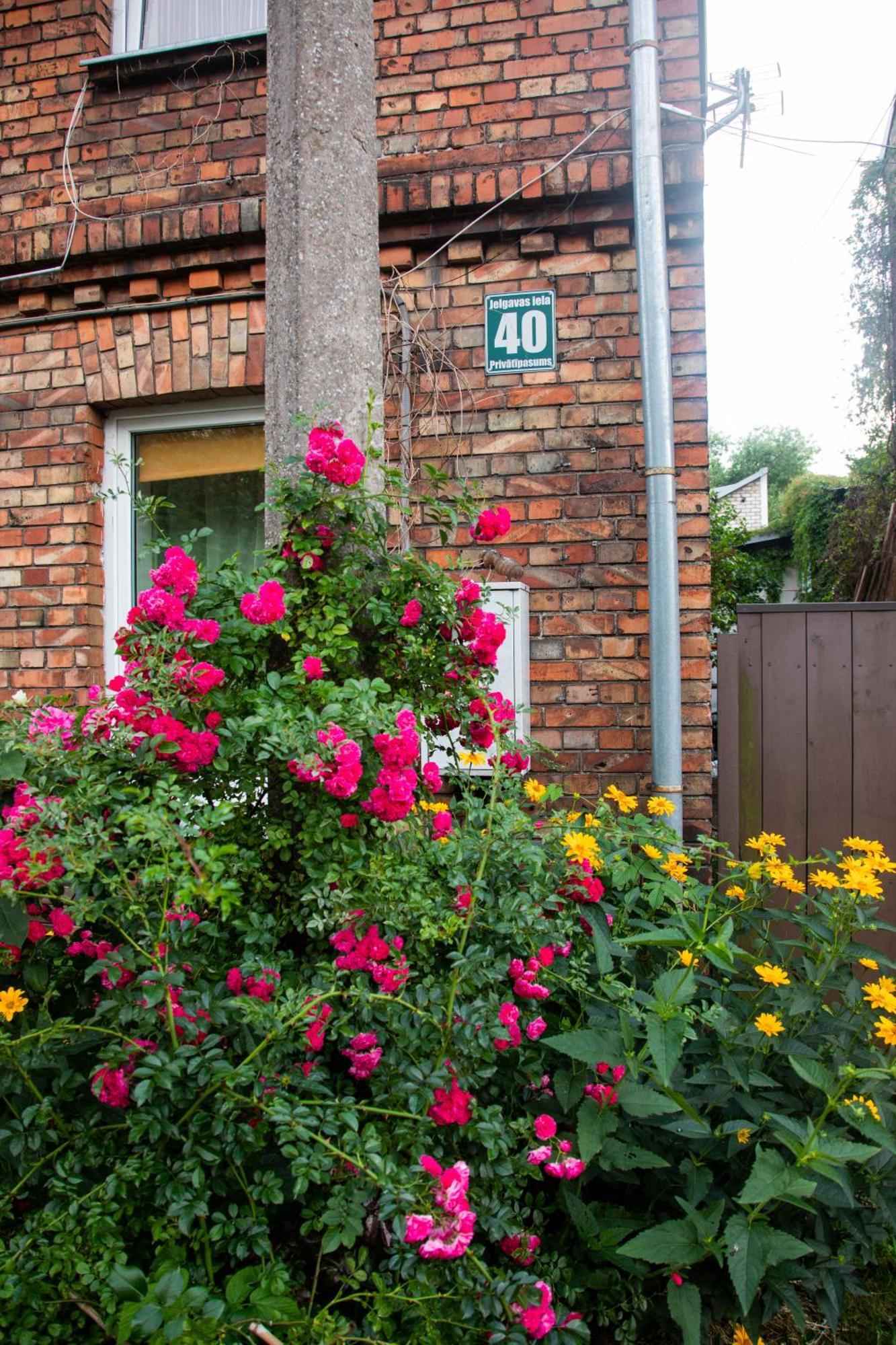 Medainie apartamenti Liepāja Extérieur photo